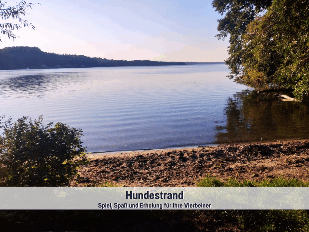 Hundestrand am Plauer See, weniger als 1 km vom Wohlfühlparadies Max & Moritz entfernt – ein herrlicher Platz für Vierbeiner zum Spielen, Schwimmen und Abkühlen im klaren Wasser